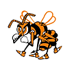 Booker T Washington High School Football