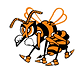 Booker T Washington High School Football